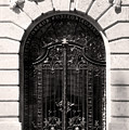 Ornamental Wrought Iron Doors with Lion Budapest